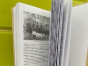 Другой взгляд на учебу: домашнее образование как альтернатива школе