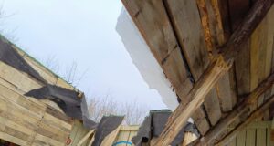 Директор детского сада в Рыбинске заплатит штраф