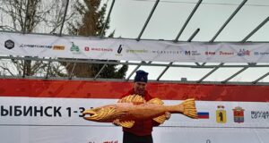 XVII Ростех Деминский марафон