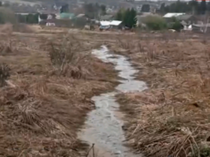 Ситуация со сливом канализационных стоков в поселке Шашково взята на личный контроль председателем СК России