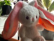 В Рыбинске завелся плюшевый воришка