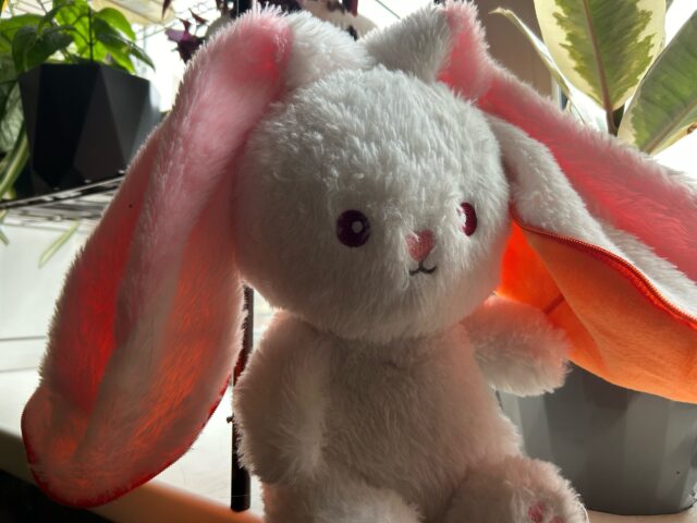 В Рыбинске завелся плюшевый воришка