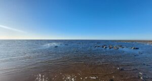 В Рыбинске откроется пассажирская навигация