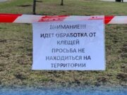 В Рыбинске начинают обрабатывать территории от клещей