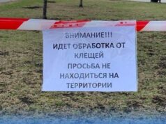 В Рыбинске начинают обрабатывать территории от клещей