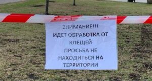 В Рыбинске начинают обрабатывать территории от клещей