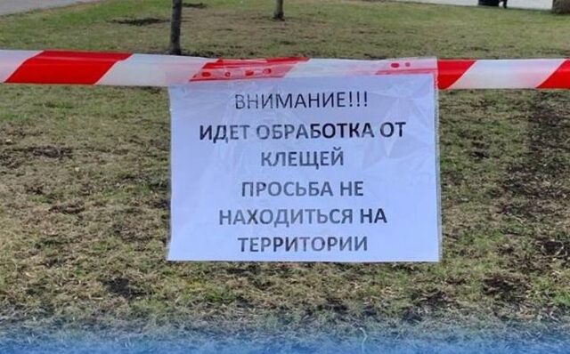 В Рыбинске начинают обрабатывать территории от клещей