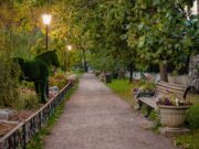 Карякинский сад стал лауреатом I Всероссийской премии «Парки России»