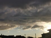 Субботники в Рыбинске переносят из-за погодных условий