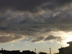 Субботники в Рыбинске переносят из-за погодных условий