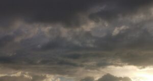 Субботники в Рыбинске переносят из-за погодных условий