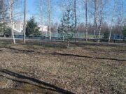 В Рыбинске на территории спортивной школы «Переборец» появится детская площадка