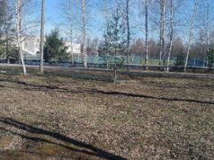 В Рыбинске на территории спортивной школы «Переборец» появится детская площадка