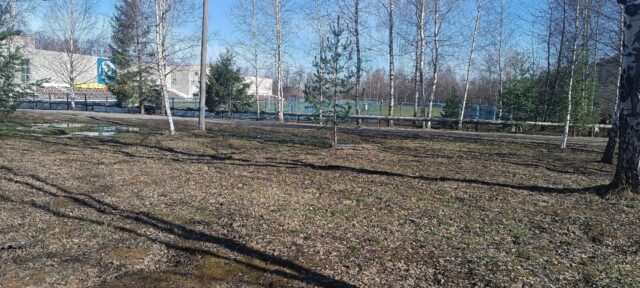 В Рыбинске на территории спортивной школы «Переборец» появится детская площадка