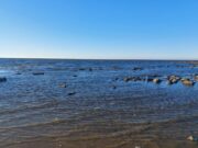 В Рыбинске утонула женщина