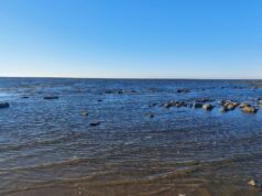 В Рыбинске утонула женщина