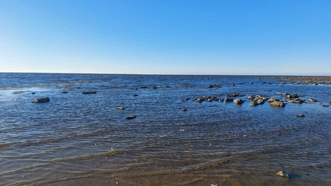 В Рыбинске утонула женщина