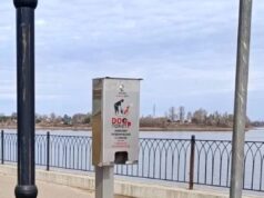 В Волжском парке устанавливают стойки с дог-пакетами