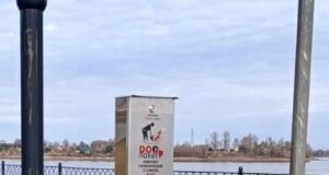 В Волжском парке устанавливают стойки с дог-пакетами