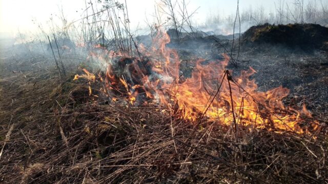С 28 мая в Рыбинске введен особый противопожарный режим