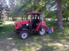 Глава города поручил увеличить площадь окашиваемых территорий в Рыбинске