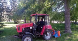 Глава города поручил увеличить площадь окашиваемых территорий в Рыбинске