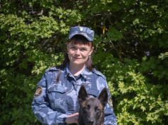 Кинологическая подготовка собак в Ярославской области была признана одной из лучших в стране