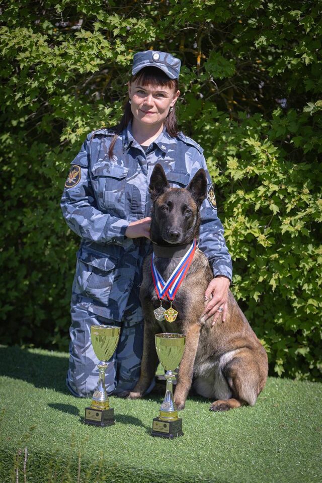 Кинологическая подготовка собак в Ярославской области была признана одной из лучших в стране