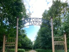 В Петровском парке Рыбинска планируют проводить рейды