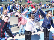 В Переборах пройдет экологический праздник «Топтыгин-Фест»