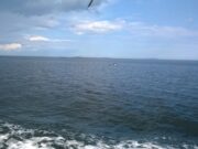 В Рыбинске пройдет турнир по плаванию на открытой воде Hydra Race