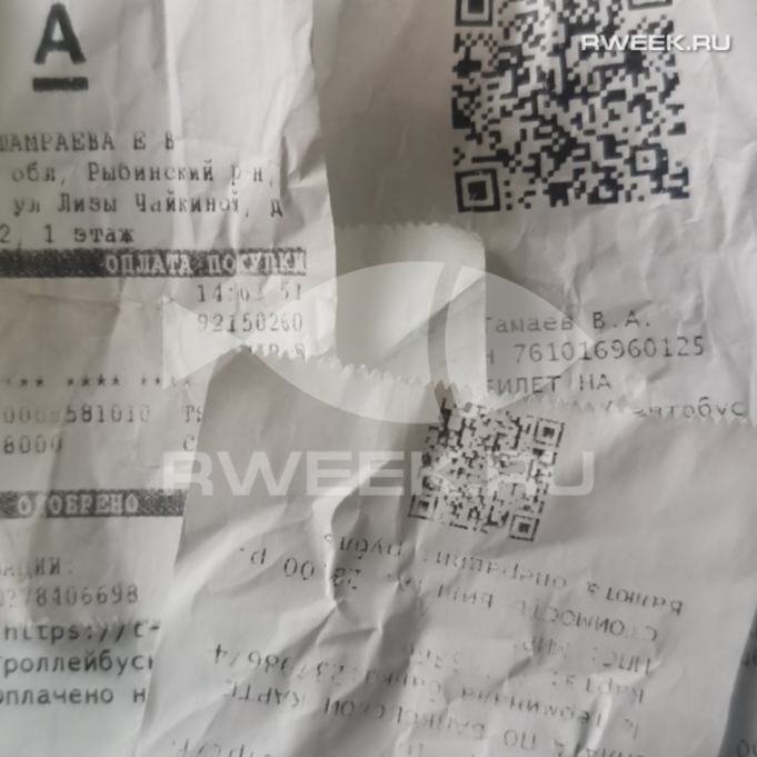 Жители Рыбинска смогут сдать чеки на переработку