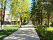 В Рыбинске создадут предприятие по обслуживанию парков и зелёных зон