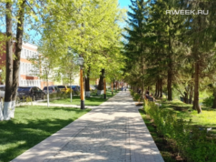 В Рыбинске создадут предприятие по обслуживанию парков и зелёных зон