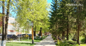 В Рыбинске создадут предприятие по обслуживанию парков и зелёных зон