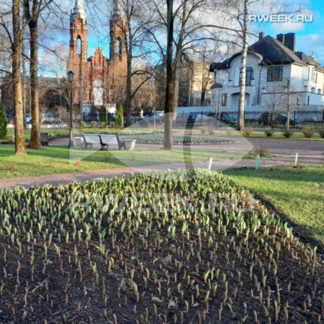 Жителей Рыбинска приглашают принять участие в краеведческом квесте