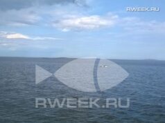 В Рыбинске пройдёт Фестиваль любительских видов спорта на воде