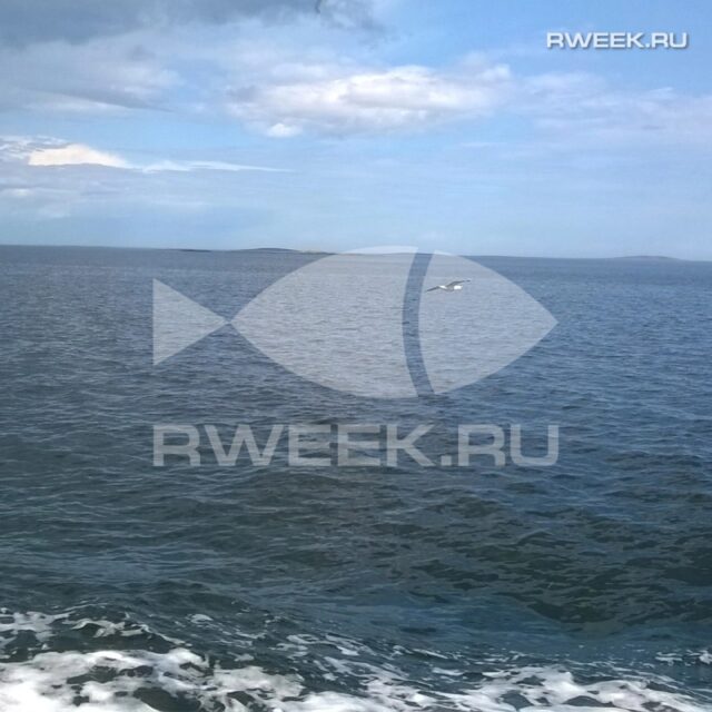 В Рыбинске пройдёт Фестиваль любительских видов спорта на воде