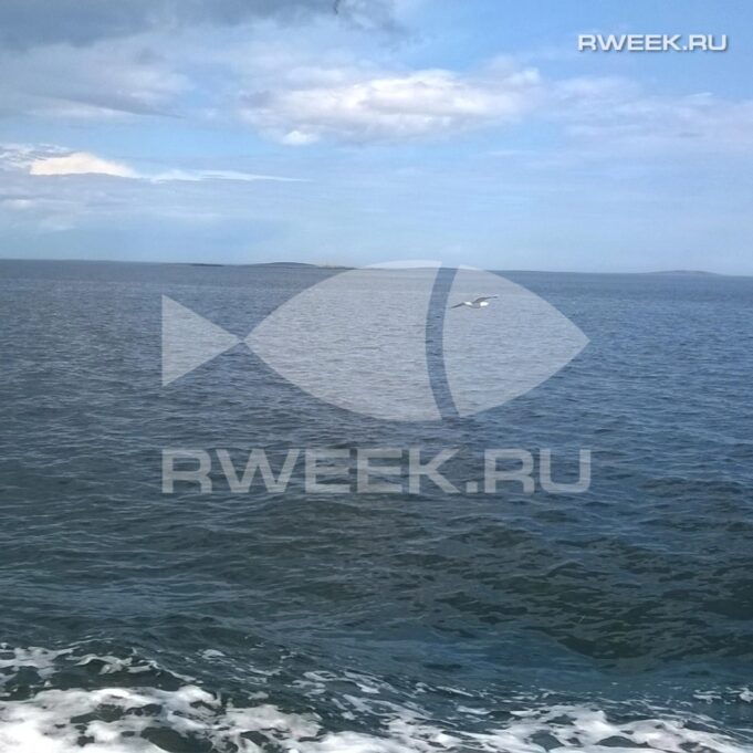 В Рыбинске пройдёт Фестиваль любительских видов спорта на воде