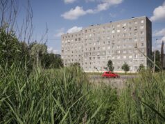 На Баме строят площадку для выгула собак