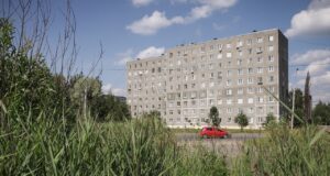 На Баме строят площадку для выгула собак