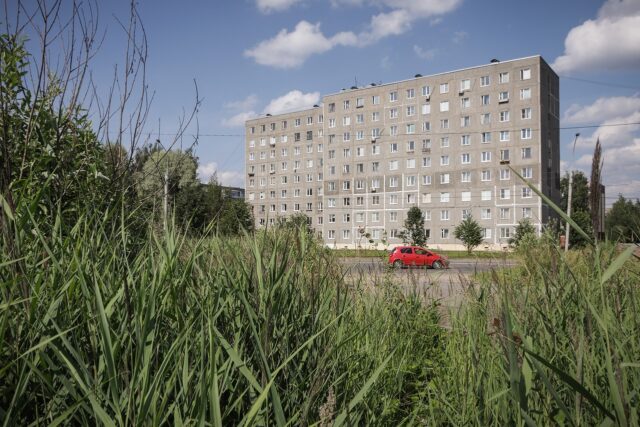 На Баме строят площадку для выгула собак