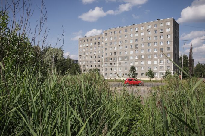 На Баме строят площадку для выгула собак