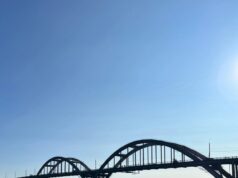 В Рыбинске пройдет День микрорайона Заволжье-1