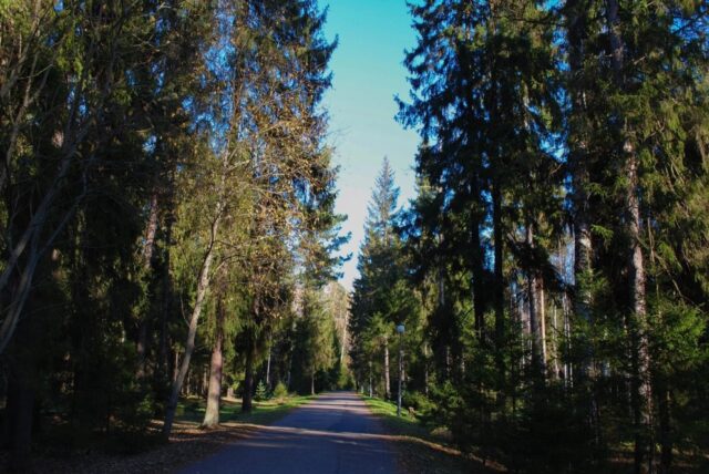 Ветераны и участники СВО могут получить путевку в санаторий «Ясные зори»