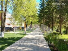 В Рыбинске увеличилось количество Мастеров спорта России