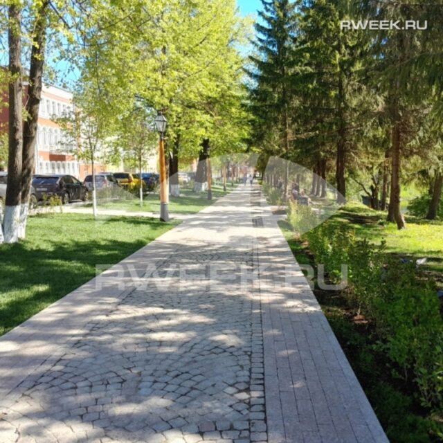 В Рыбинске увеличилось количество Мастеров спорта России