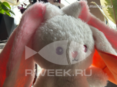 Самые маленькие жители Рыбинска сразятся на соревнованиях в День города