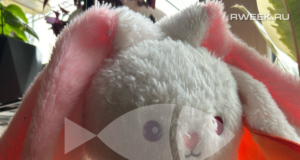 Самые маленькие жители Рыбинска сразятся на соревнованиях в День города