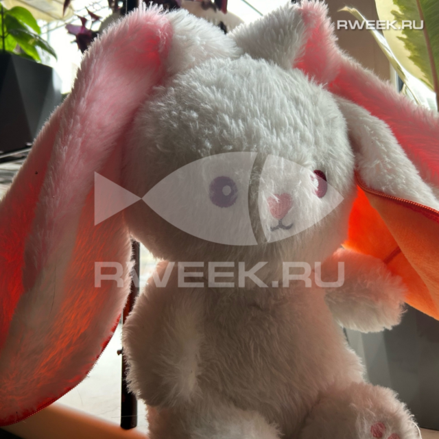 Самые маленькие жители Рыбинска сразятся на соревнованиях в День города